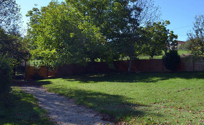 Private garden with a large mature leafy walnut and other fruit trees.